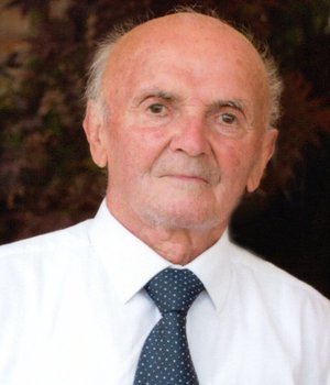 Bertulezzi Paolo