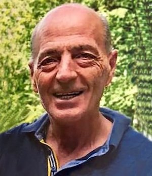 Pasinetti Luigi (gino)