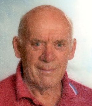 Lazzarini Tarcisio