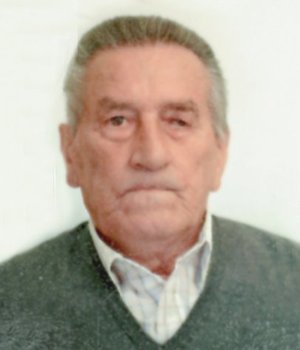 Dezio Angelo (gino)