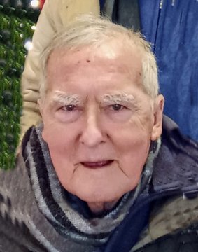 Previcini Dario