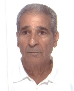 Viola Leonardo