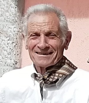 Bellini Virgilio (giglio)