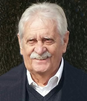 Vigano' Achille