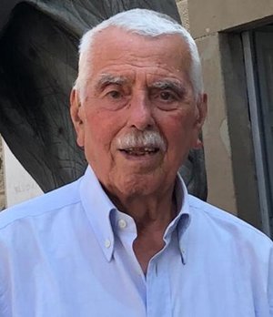 Guidolin Odino