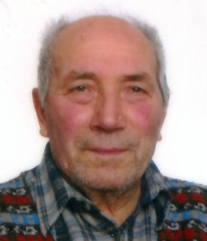 Verzaroli Dario