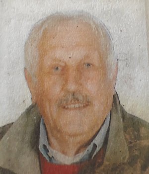 Nervi Bernardo