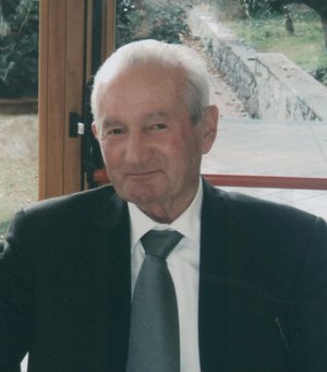 Gottini Francesco