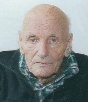 Corali Bernardo (dino)