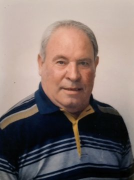 Cortinovis Domenico