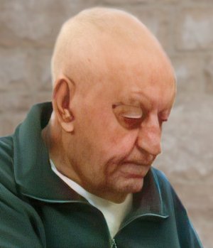 Rota Mario
