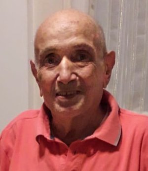 Pulici Abele