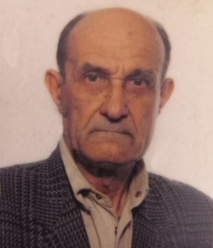 Bresciani Luigi Lino