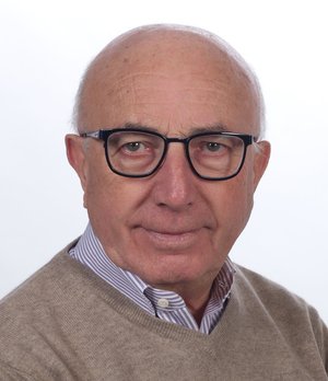 Caselli Marco Ing.