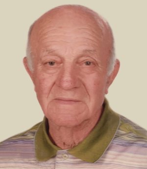 Bonacina Domenico