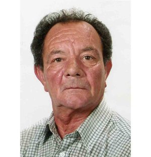 Licini Giacomino