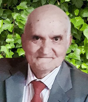 Carrera Domenico