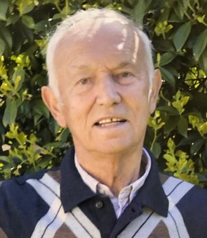 Cavalli Dante