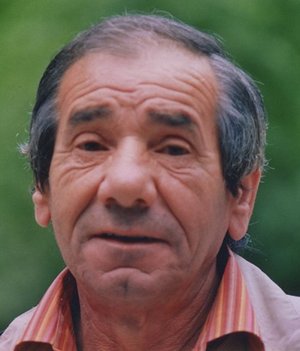 Bolis Lino Giuliano