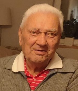 Forchini Andrea Luigi