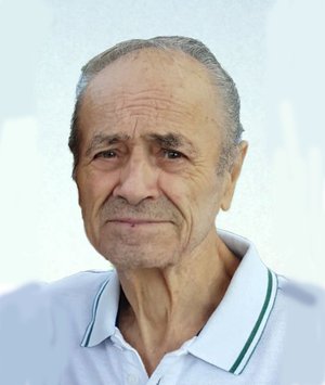 Arrigoni Giovanni