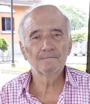 Bosis Arminio