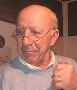 Giganti Giuseppe (pino) Professore
