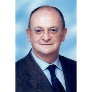 Martinelli Enrico