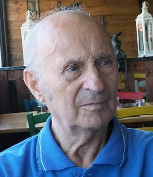 Nembrini Giuliano