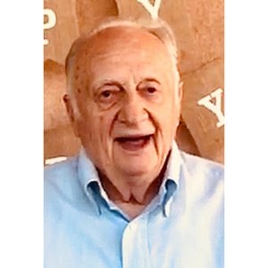 Lippi Ivo