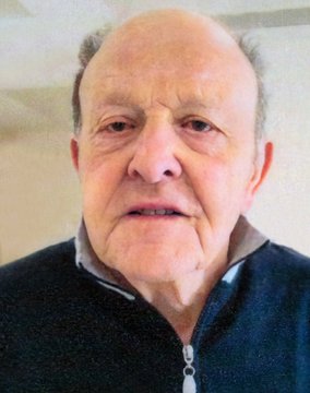 Gritti Giovanni