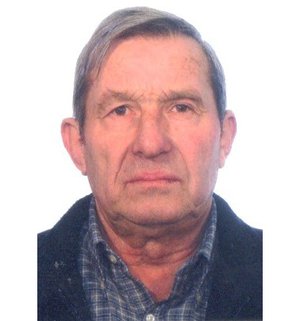Zanini Renato
