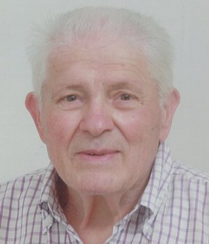 Milani Luigi