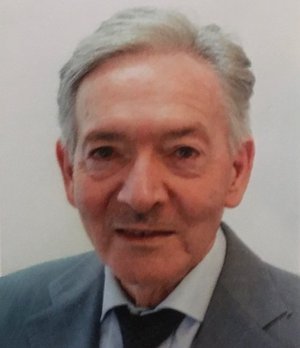 Vegini Romano