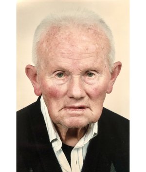 Volpi Ernesto
