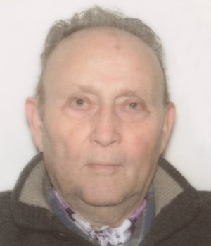 Formentini Giovanni