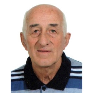 Bresciani Giuseppe