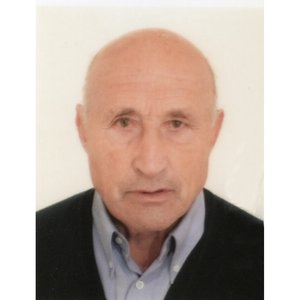 Castelli Daniele