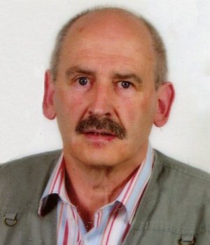 Ambrosioni Domenico