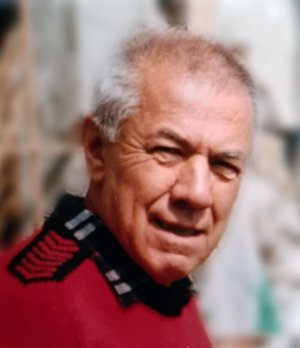Vanalli Renzo