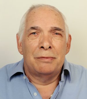 Bergonzi Pietro Luigi