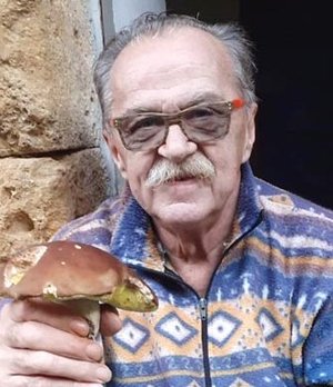 Brambilla Norberto