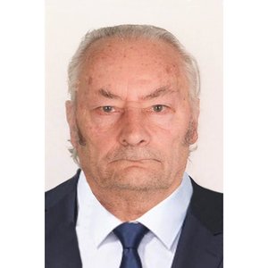 Ottoni Ferdinando