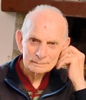 Medolago Arturo