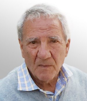 Rabeni Mino