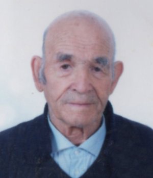Pellegrini Tullio