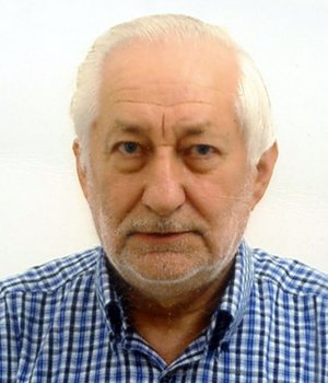 Rota Angelo