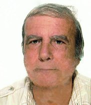 Mainolfi Francesco