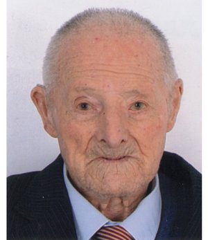 Albani Luigi