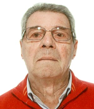 Cattaneo Gianmario